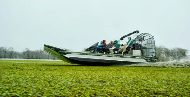 Photo of An Airboat Speeds through Floating Salvinia (Fern) in the Atchafalaya River Basin Swamp in Southern Louisiana Under an Overcast Sky