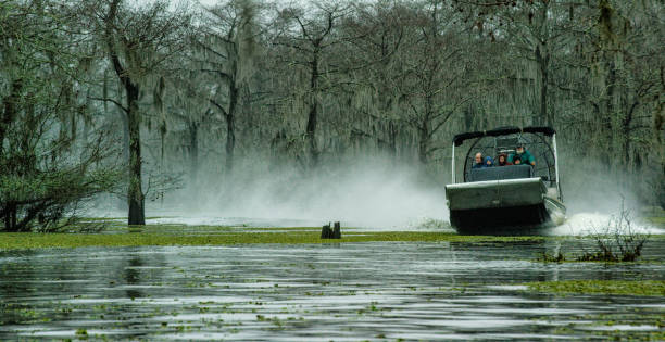 An Airboat Tour in the Atchafalaya River Basin Swamp in Southern Louisiana Under an Overcast Sky An Airboat Tour in the Atchafalaya River Basin Swamp in Southern Louisiana Under an Overcast Sky lafayette louisiana photos stock pictures, royalty-free photos & images
