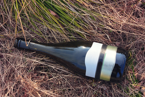 Empty dark wine bottle on a background of last year's dry grass close-up.