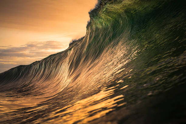 istock Large wave about to break with orange golden skies 1222084758