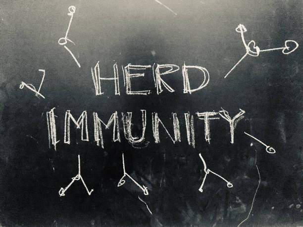 Herd Immunity handwritten on Blackboard Herd Immunity handwritten on Blackboard as JPG File herd immunity photos stock pictures, royalty-free photos & images