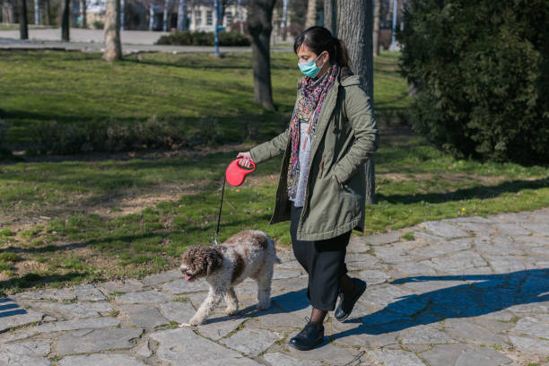 istock walking dog in the park with face mask 1222087407