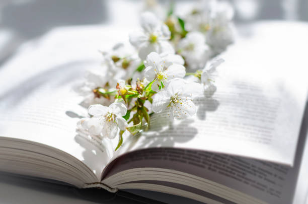 istock Open book with blossom branch of cherry-tree 1222088742
