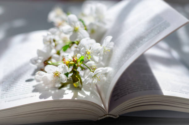 istock Open book with blossom branch of cherry-tree 1222088752