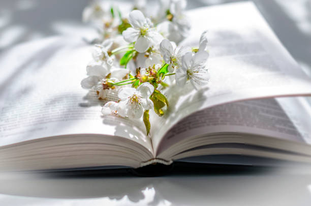 istock Open book with blossom branch of cherry-tree 1222088755