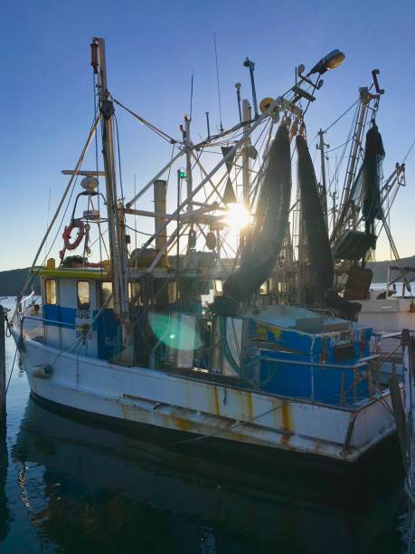 istock Fishing Boats 1222092137