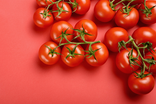 Tomatoes on the red background