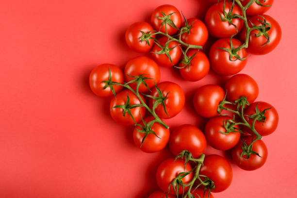 istock Tomatoes on the red background 1222093332