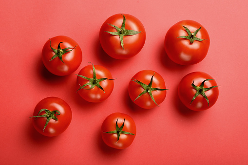 Tomatoes on the red background