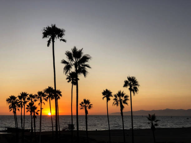 istock Sunset view of Los Angeles beach 1222098444