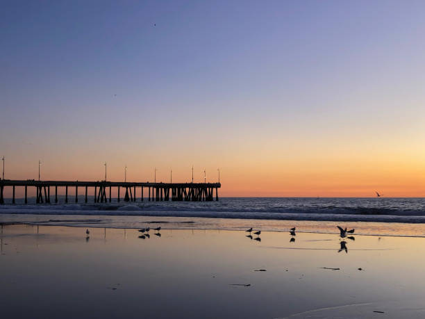 istock Sunset view of Los Angeles beach 1222098532