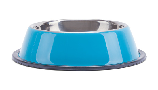 Empty Blue Dog Food Bowl Front View Isolated on White.