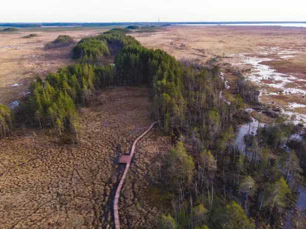 Aerial view of wooden walkway on the territory of Sestroretsk swamp, ecological trail path - route walkways laid in the swamp, reserve "Sestroretsk swamp", Kurortny District, Saint-Petersburg, Russia"n