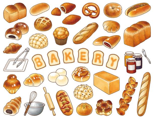 Bakery vector illustration set Illustration of various types of bread. brioche bun stock illustrations