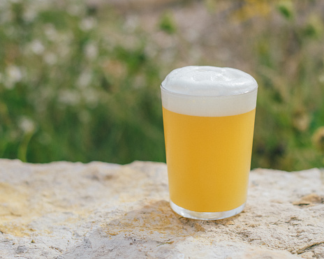 Craft beer photography of a pint of pale ale style beer on a rock with a grass field in the background