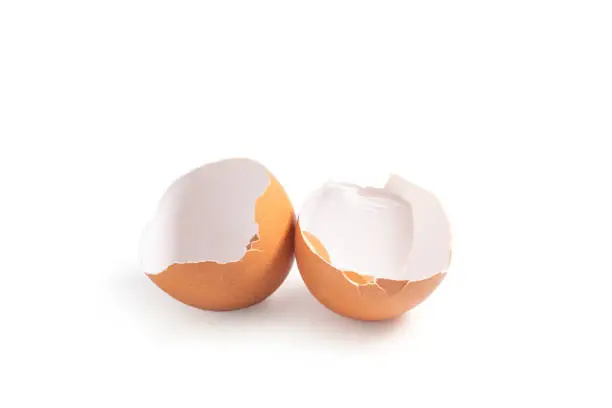 Egg shell on white background.