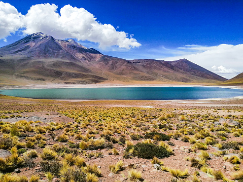 Lagoon in Chile San Pedro de Atacama