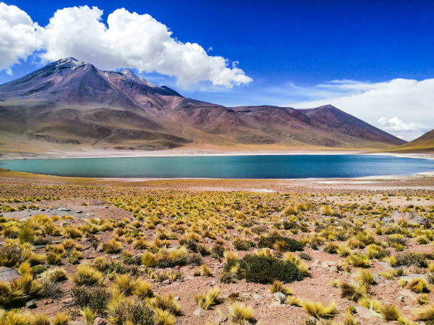 highland lagoons - san pedro imagens e fotografias de stock