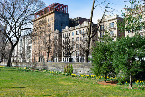 Old residential buildings in Harlem seen from a green lawn with plants and flowers in Central Park during spring in New York City