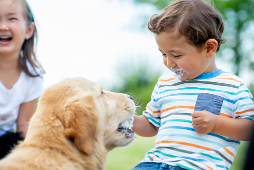 Mixed race siblings eating a summer treat.