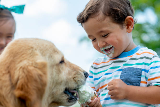 bambini carini che mangiano gelato - sugar cane foto e immagini stock