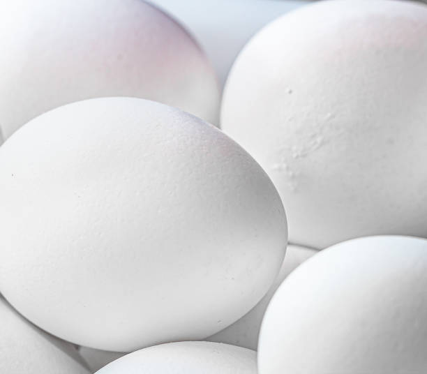 istock Eggs ( Chicken eggs ). Group of white chicken eggs in close-up. 1222118081