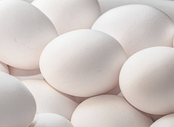 istock Eggs ( Chicken eggs ). Group of white chicken eggs in close-up. 1222118082