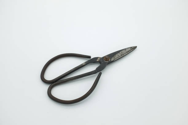 istock black vintage scissors on white textured background. 1222129796