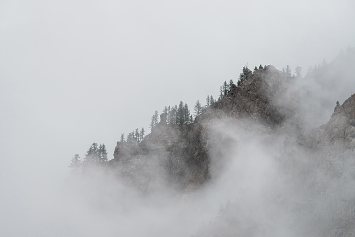 Ghostly alpine view through low clouds to beautiful rockies. Dense fog among giant rocky mountains with trees on top. Atmospheric highland landscape. Big cliff in cloudy sky. Minimalist misty scenery.