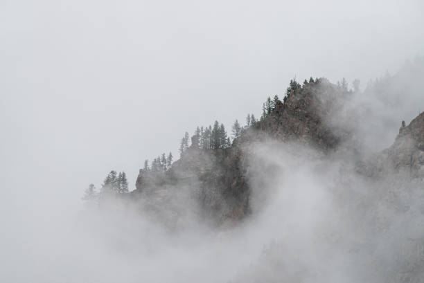 Nature Ghostly alpine view through low clouds to beautiful rockies. Dense fog among giant rocky mountains with trees on top. Atmospheric highland landscape. Big cliff in cloudy sky. Minimalist misty scenery. altai nature reserve photos stock pictures, royalty-free photos & images