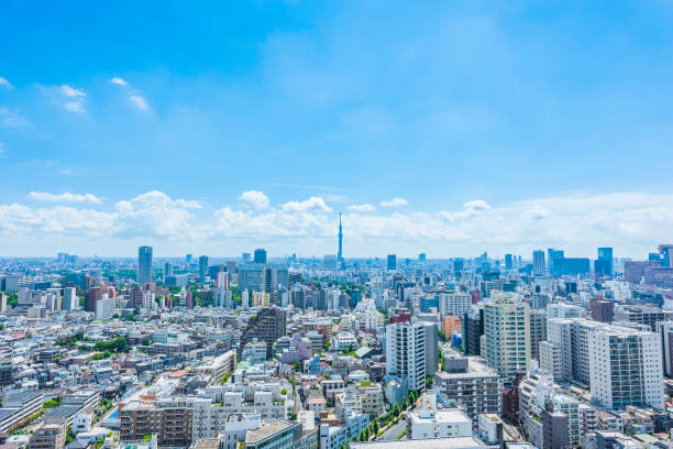 panoramę tokio , japonia. - tokyo prefecture building exterior high angle view tokyo tower zdjęcia i obrazy z banku zdjęć