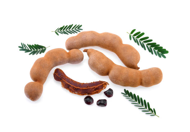 Tamarind isolated on a white background