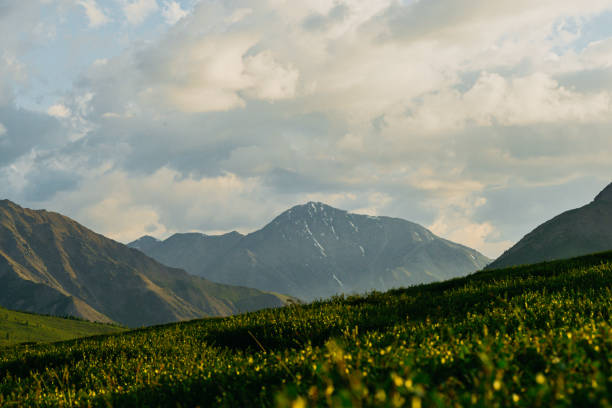 istock Green hills under blue cloudy sky. Mountain valley for pasture 1222141171