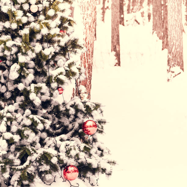 istock Christmas tree with red balls under snow in pine forest. Preparation for new year 1222141228