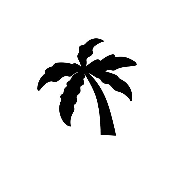 kokosbaum symbol vektor grafik-design-illustration - rainforest palm tree leaf plant stock-grafiken, -clipart, -cartoons und -symbole