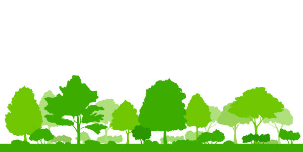 illustrations, cliparts, dessins animés et icônes de illustration verte de paysage d’arbre, fond - chestnut tree leaf tree white background