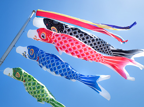 Carp streamer