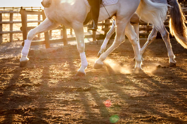 Beach rider - motion blur with additional movement of the camera