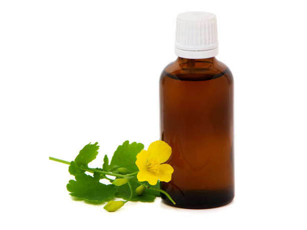 istock Pharmaceutical bottle with celandine extract, Chelidonium majus 1222160332