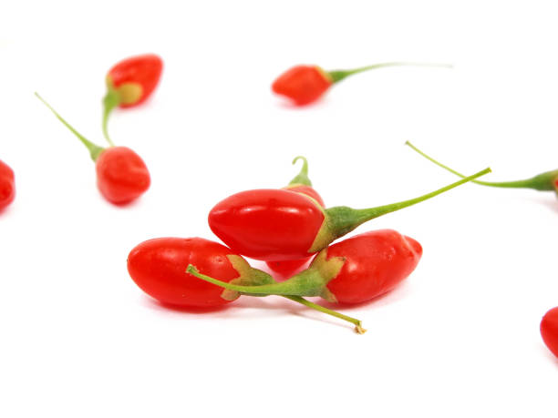 спелые плоды ягоды годзи или вольфберри, lycium barbarum - wolfberry стоковые фото и изображения