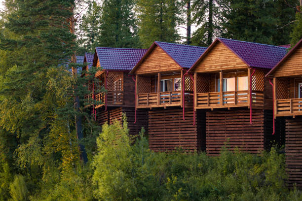 istock Cozy cabins in the forest 1222161558