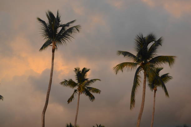 istock sunset in the Caribbean 1222166952