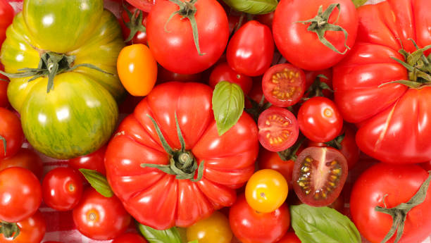 istock assorted of colorful tomatoes and basil 1222169433
