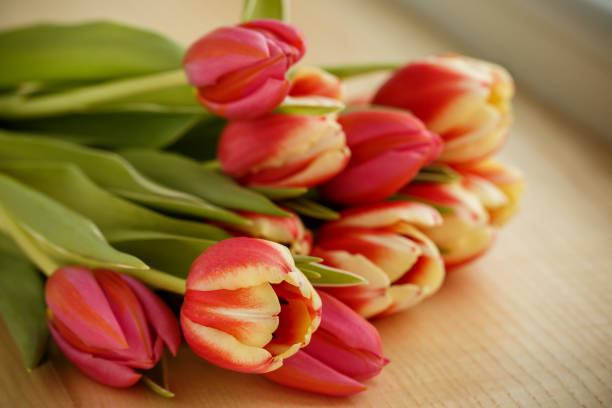 istock Vibrant flowers to celebrate a special day 1222169584