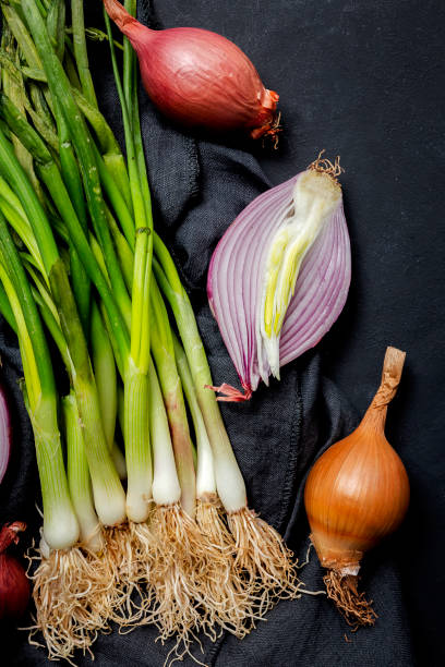 istock Fresh red and white onions on dark background 1222169672