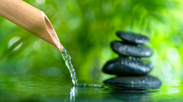 istock Leaking water stream from bamboo, spa and wellness concept. 1222170093