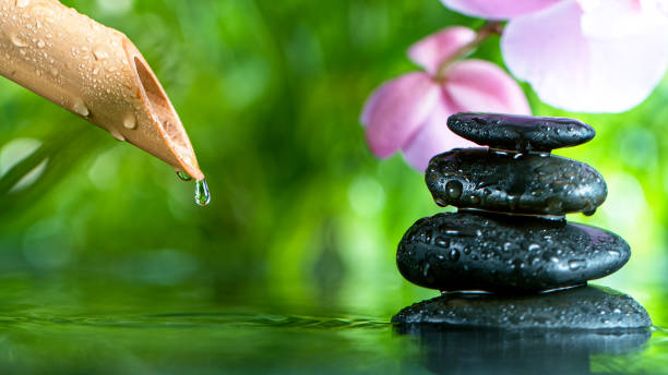 istock Leaking water stream from bamboo, spa and wellness concept. 1222170120