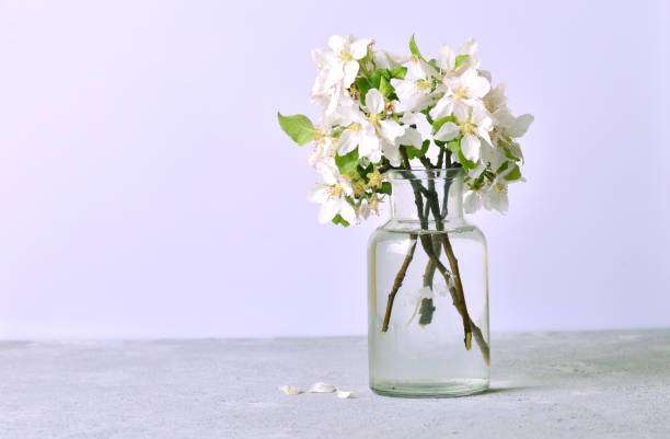 istock Branches of a blossoming apple tree in a glass jar 1222170266