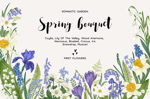 Spring bouquet. Vintage vector card with garden flowers. Botanical illustration. Floral background.