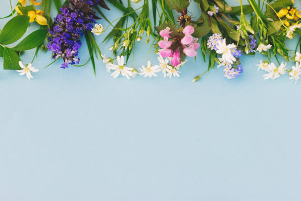 istock Wildflowers colorful border on blue paper background with space for text. Blooming spring flowers, floral greeting card template. Happy Mother's day concept. Hello spring 1222172023